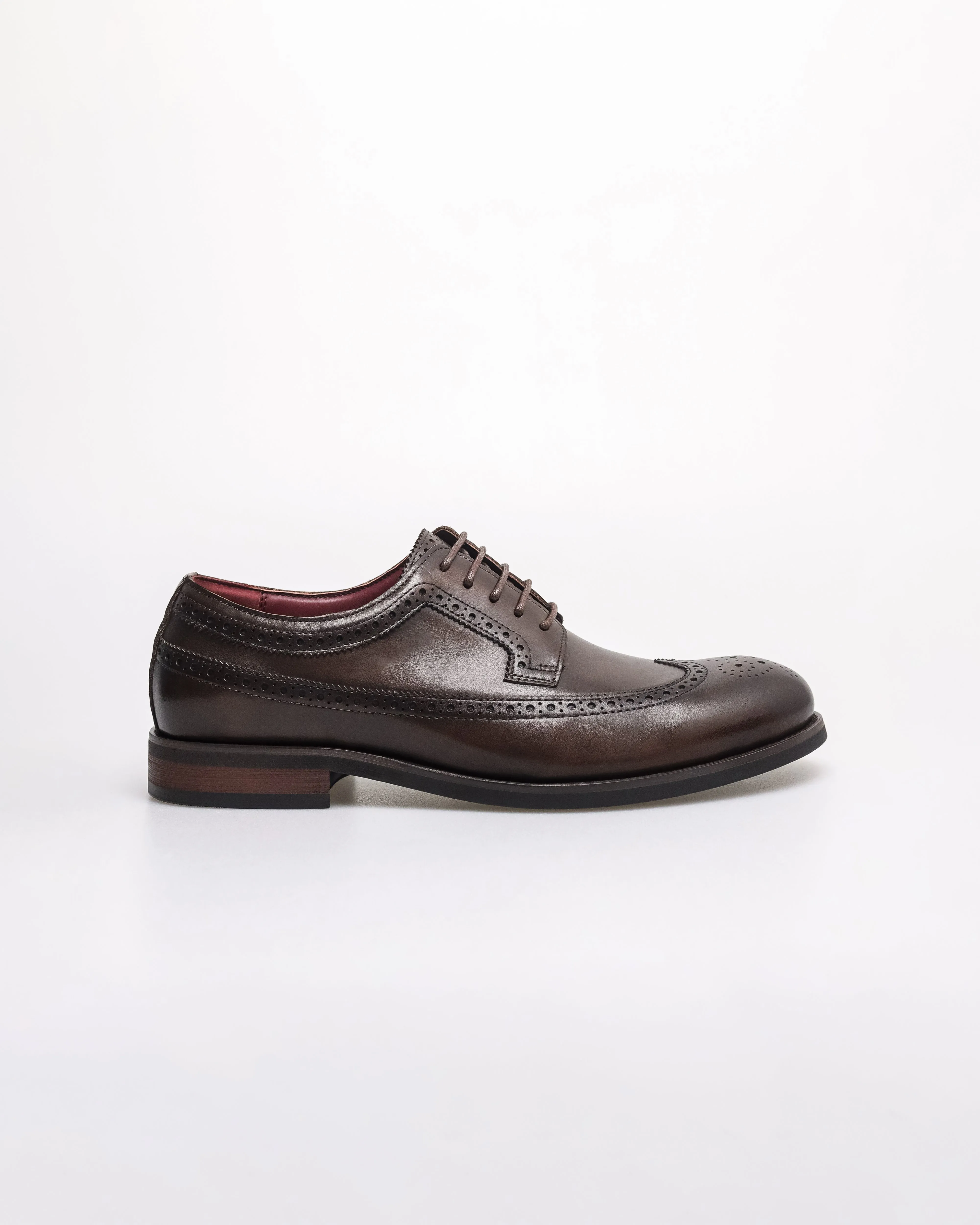 Tomaz HF110 Men's Brogue Wingtip Derby